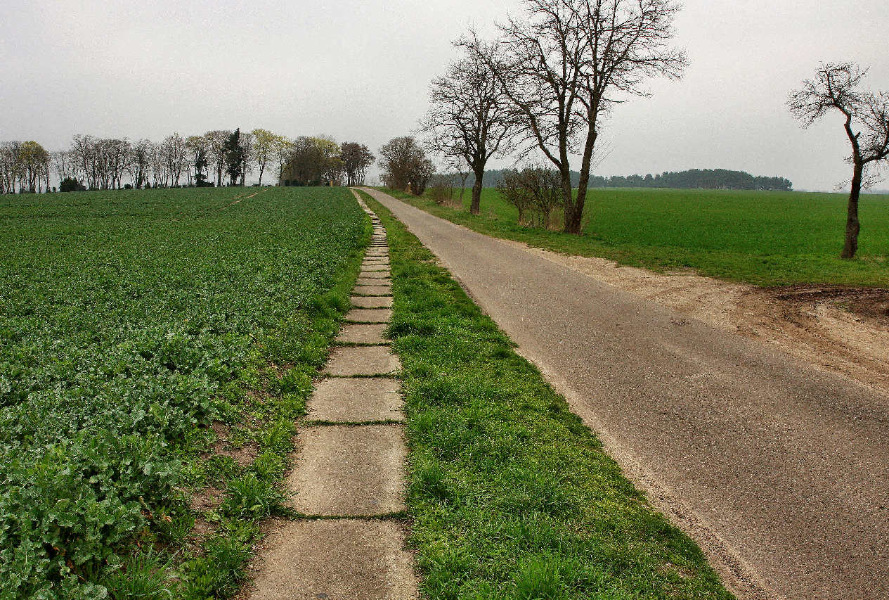 tl_files/music_academy/Aktuelles/naechst-neuendorf-Weg zum Friedhof-2014.jpg